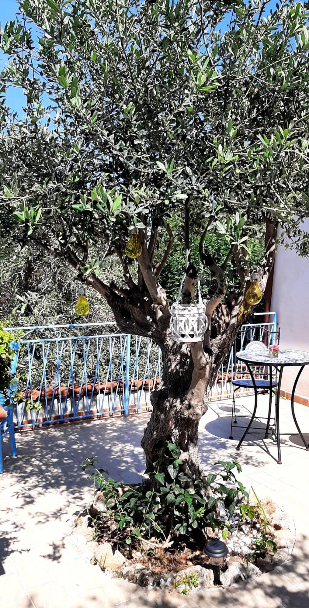La Casetta Degli Ulivi Palermo Luaran gambar